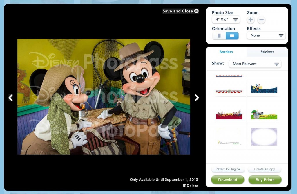 Disney PhotoPass Watermark