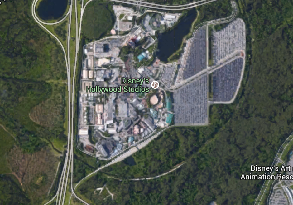 Hollywood Studios Woodland Surroundings