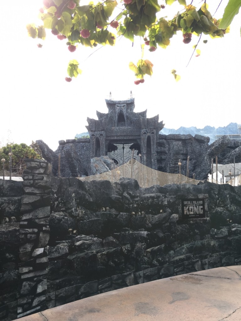 Reign of Kong construction exterior