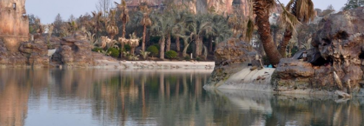 Episode 157 – Mercedes Joins Us to Chat Shanghai Disney & Disneyland!