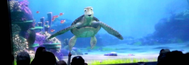 More Characters Join Crush at Turtle Talk With Crush at Epcot