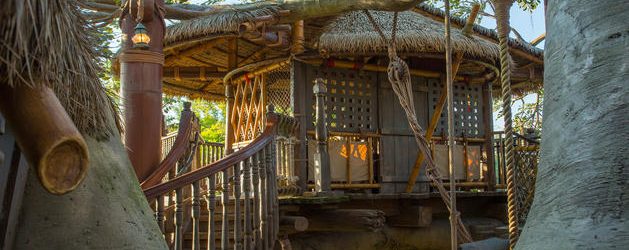Swiss Family Robinson Treehouse Extends Refurbishment