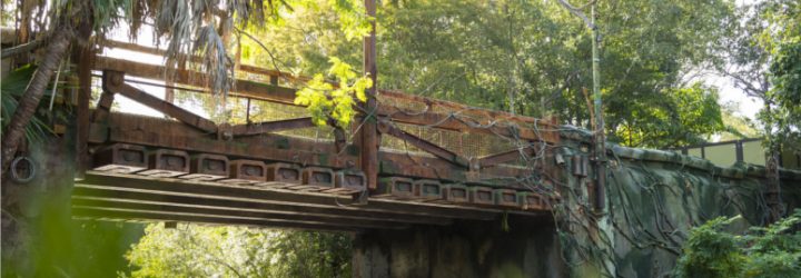 Pandora – The World of Avatar Added to Disney’s Animal Kingdom Map!