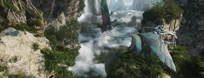 Poor Reviews of Flight of Passage at Disney’s Animal Kingdom