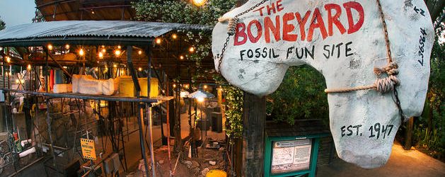 A Tour of Disney’s Animal Kingdom Part 2 – Discovery Island and Dinoland USA