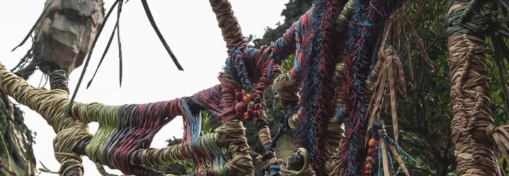 Disney Extending Additional Extra Magic Hours at Disney’s Animal Kingdom