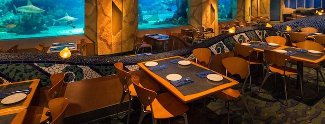 Coral Reef Restaurant Closing for Short Refurb in August