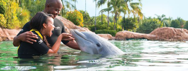 Poor Reviews of Discovery Cove in Orlando