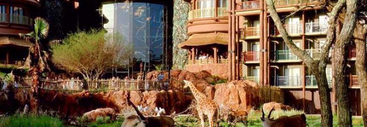 Poor Reviews of the Animal Kingdom Lodge