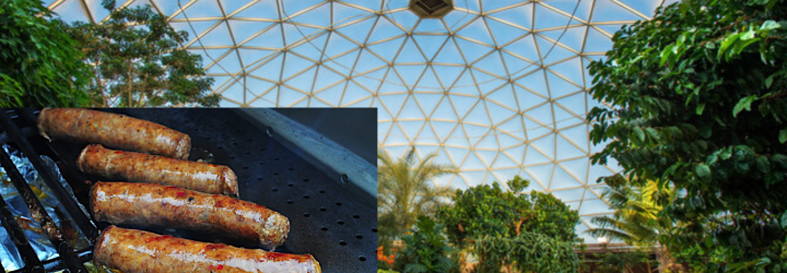 The Best Places to Grill and Chill at Walt Disney World